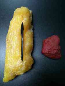 5 lbs fat vs 5 lbs muscle